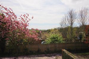 Rear View- click for photo gallery